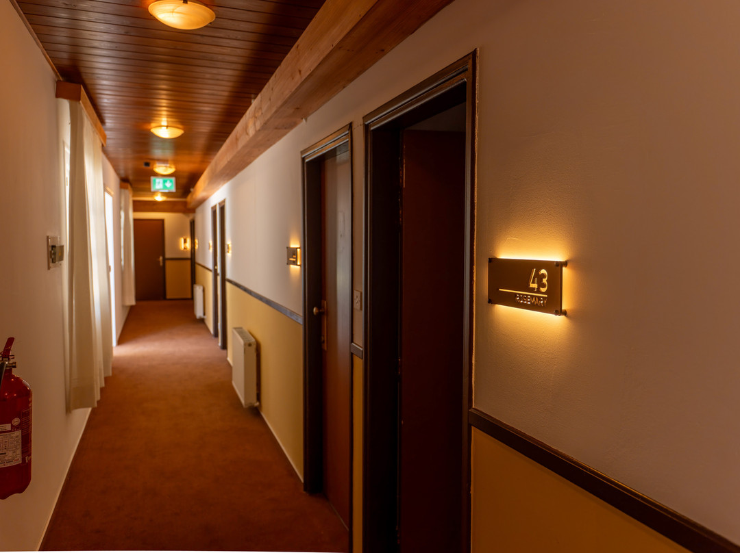 新赫尔维蒂酒店主图