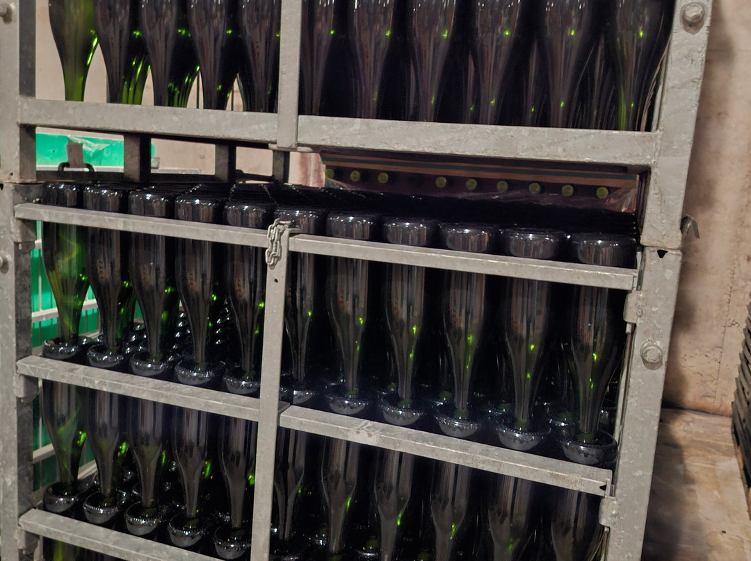 Canals & Munne-桑特萨杜尔尼达诺亚必去景点