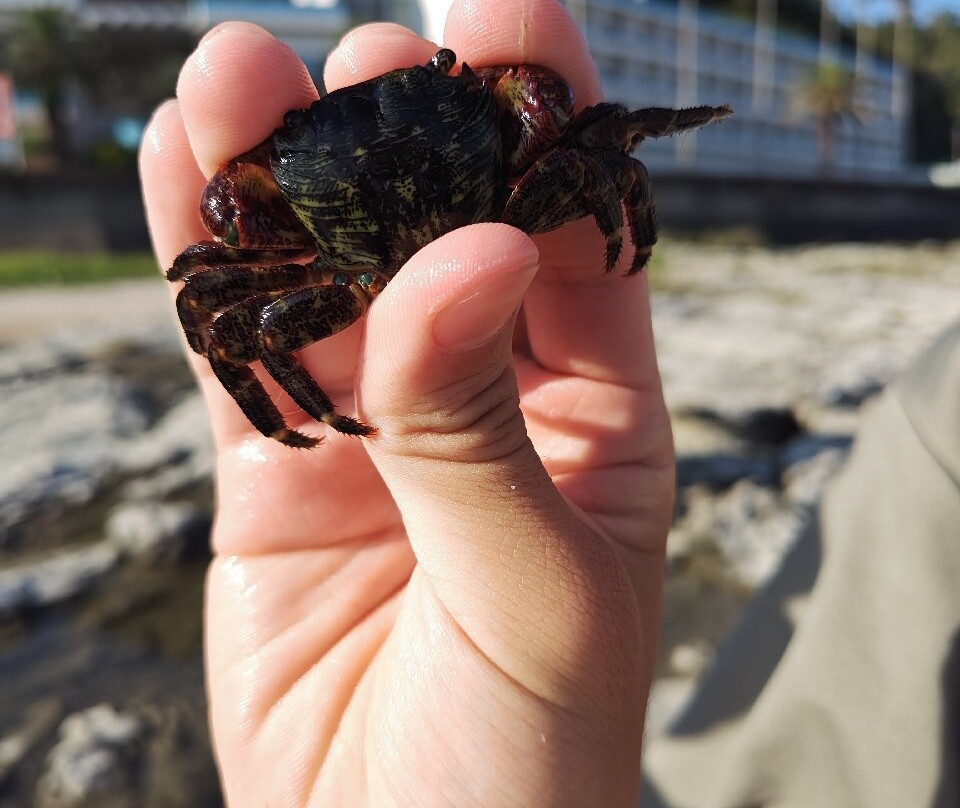 Hotel Green Plaza Kamogawa主图