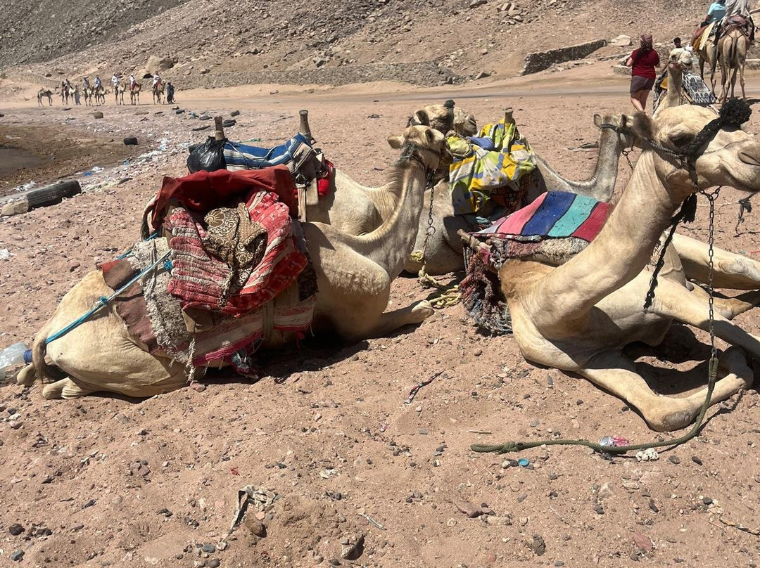 Three Pools-达哈卜必去景点