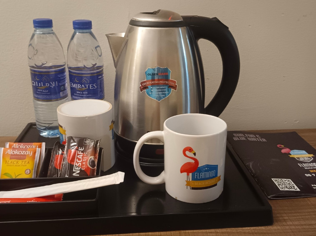 弗拉明戈海滩度假村主图