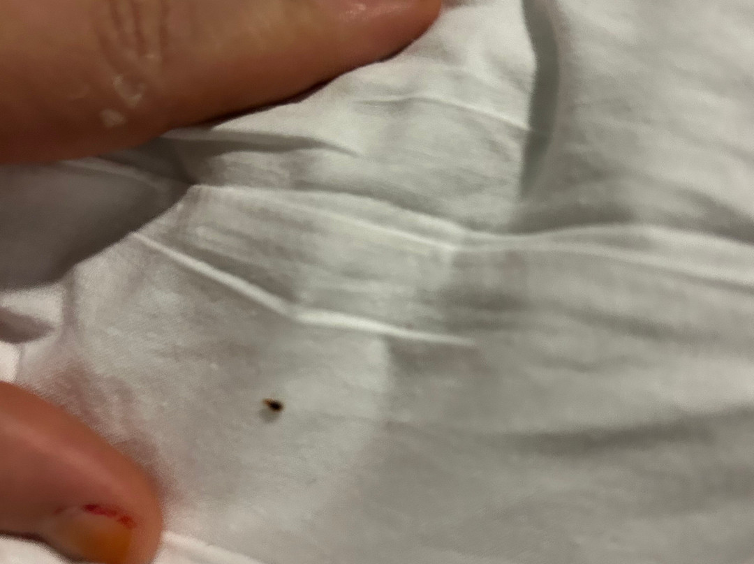 贝塞麦酒店主图