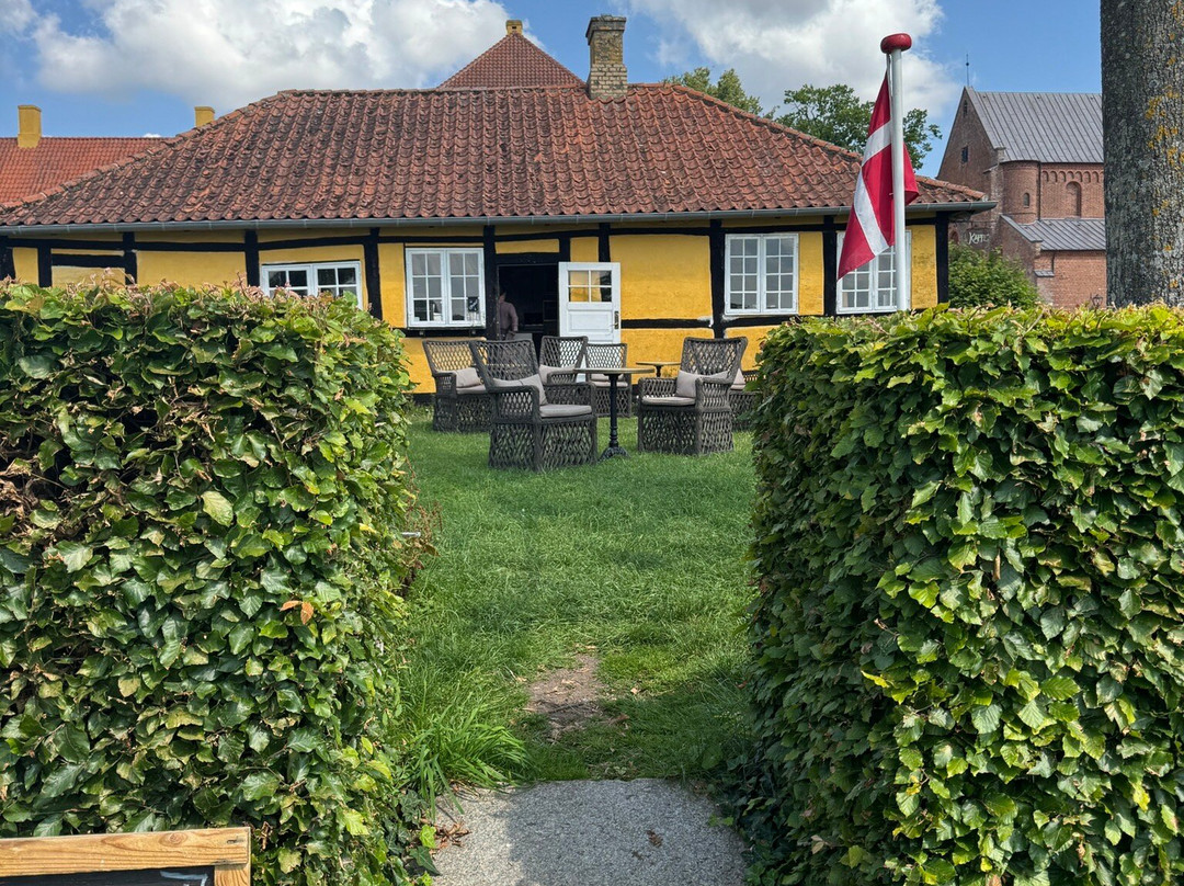 Café Skjalms Garden