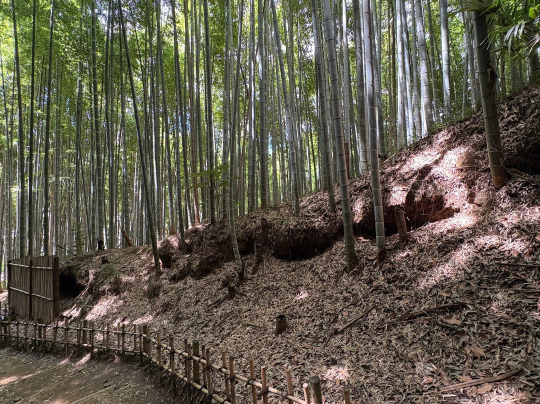Hiyodori Hill-佐仓市必去景点