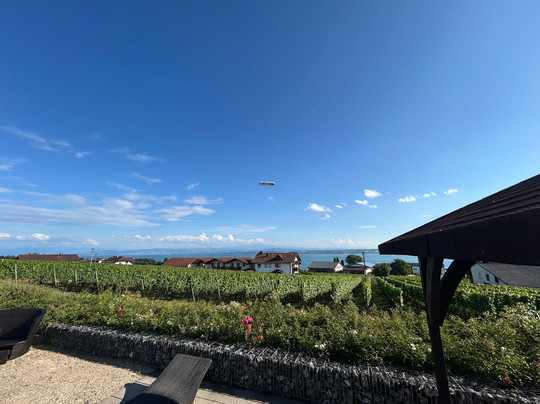 邦格朗德霍夫酒店主图