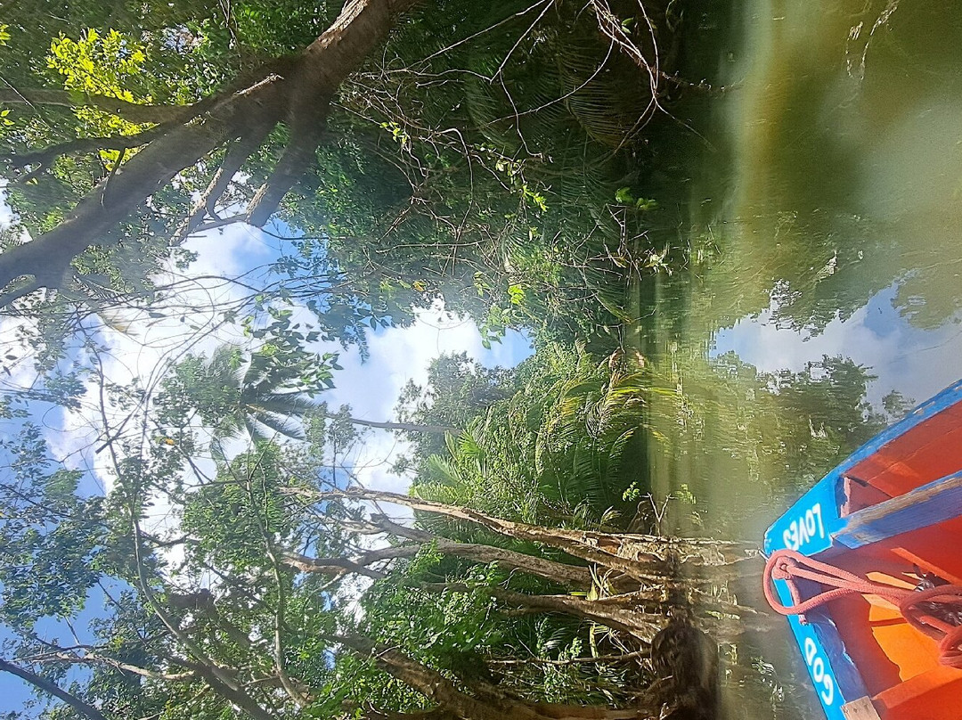 Indian River-多米尼克必去景点