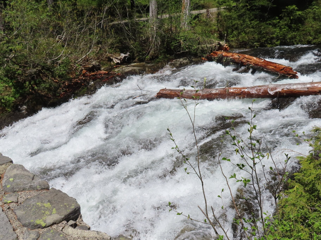 Narada Falls-Paradise必去景点