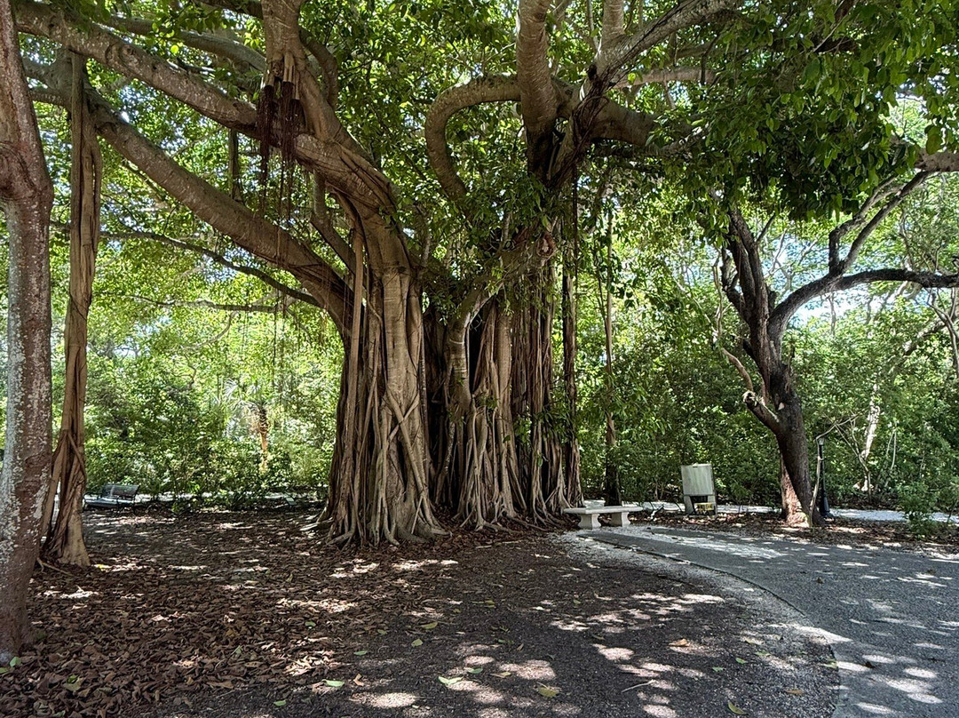 卡特勒学-迈阿密必去景点