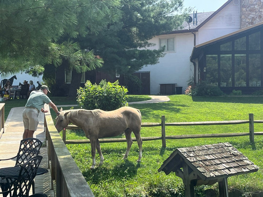 Guggisberg Swiss Inn主图