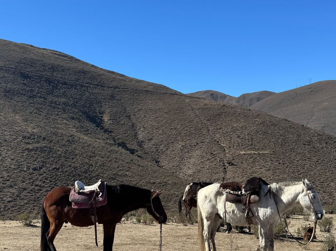 El Puesto-Tafi del Valle必去景点