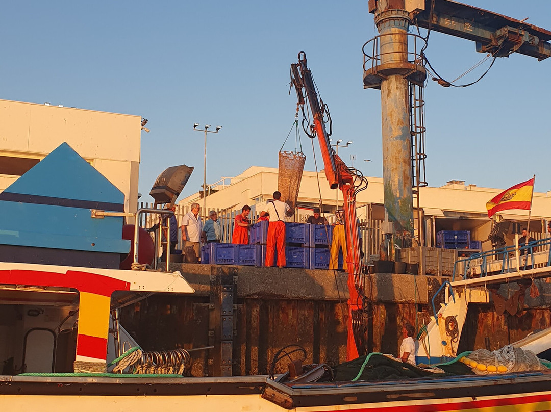 Excusiones Marítimas Islenas Isla Cristina-Isla Cristina必去景点