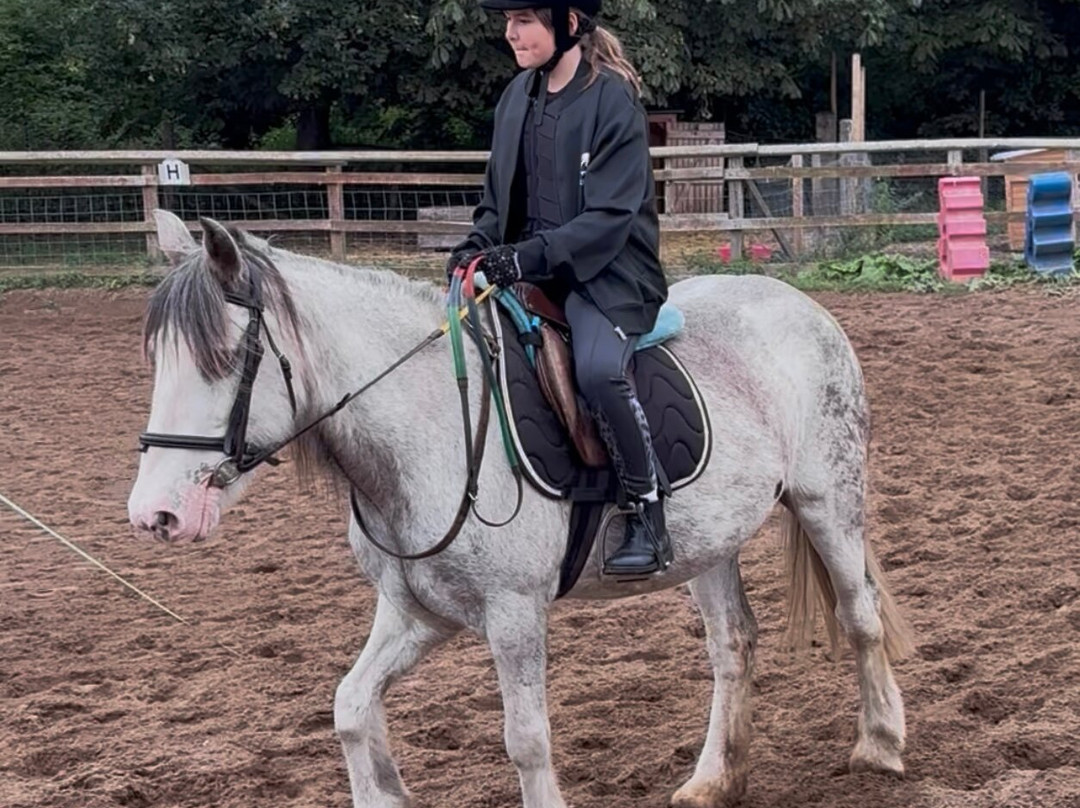 Bridlewood Equestrian Centre-Gwespyr必去景点