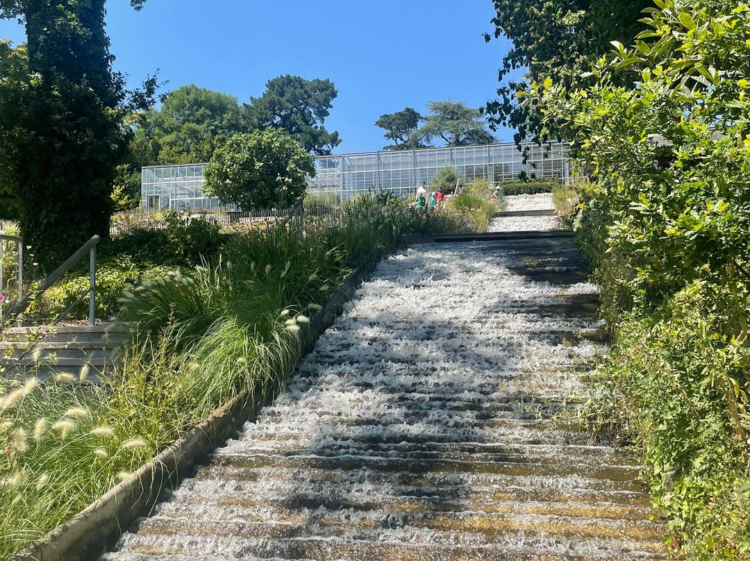 Camifolia Garden-Chemille必去景点