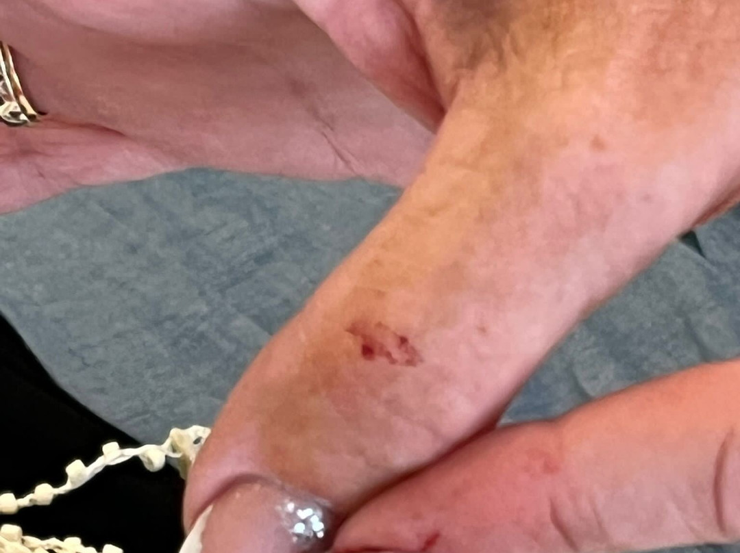 The Ibiza Twiins主图