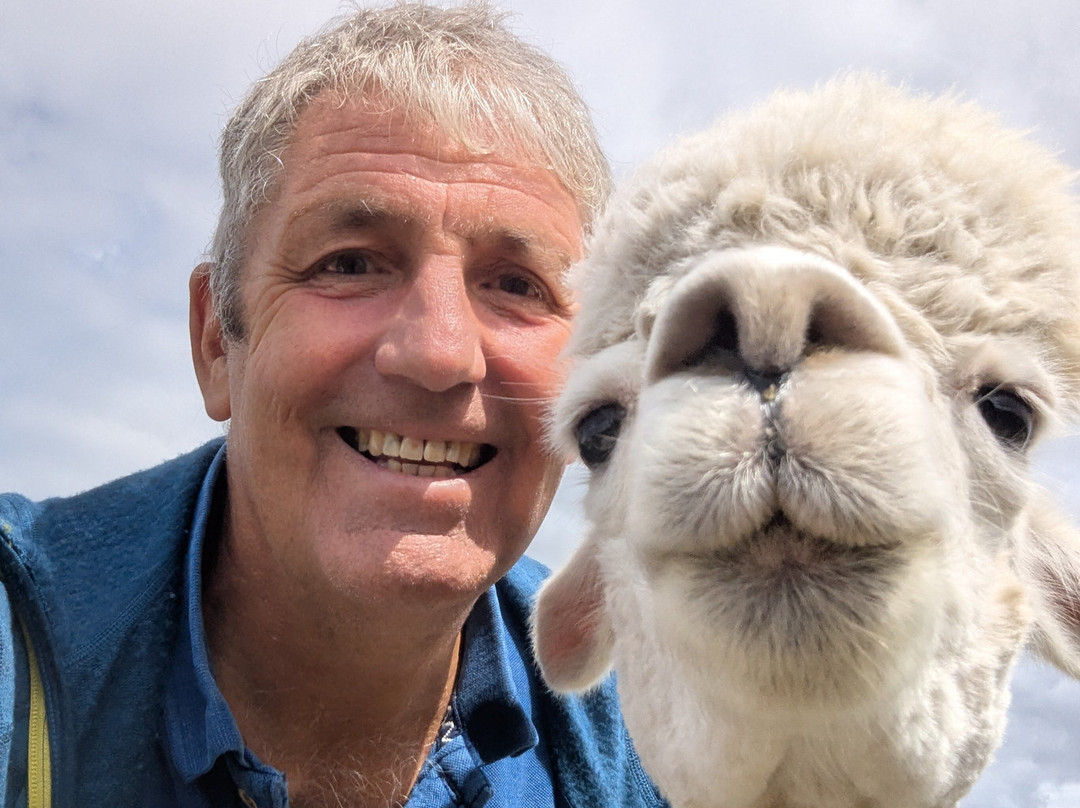 Bowbridge Alpacas Scotland-Peat Inn必去景点