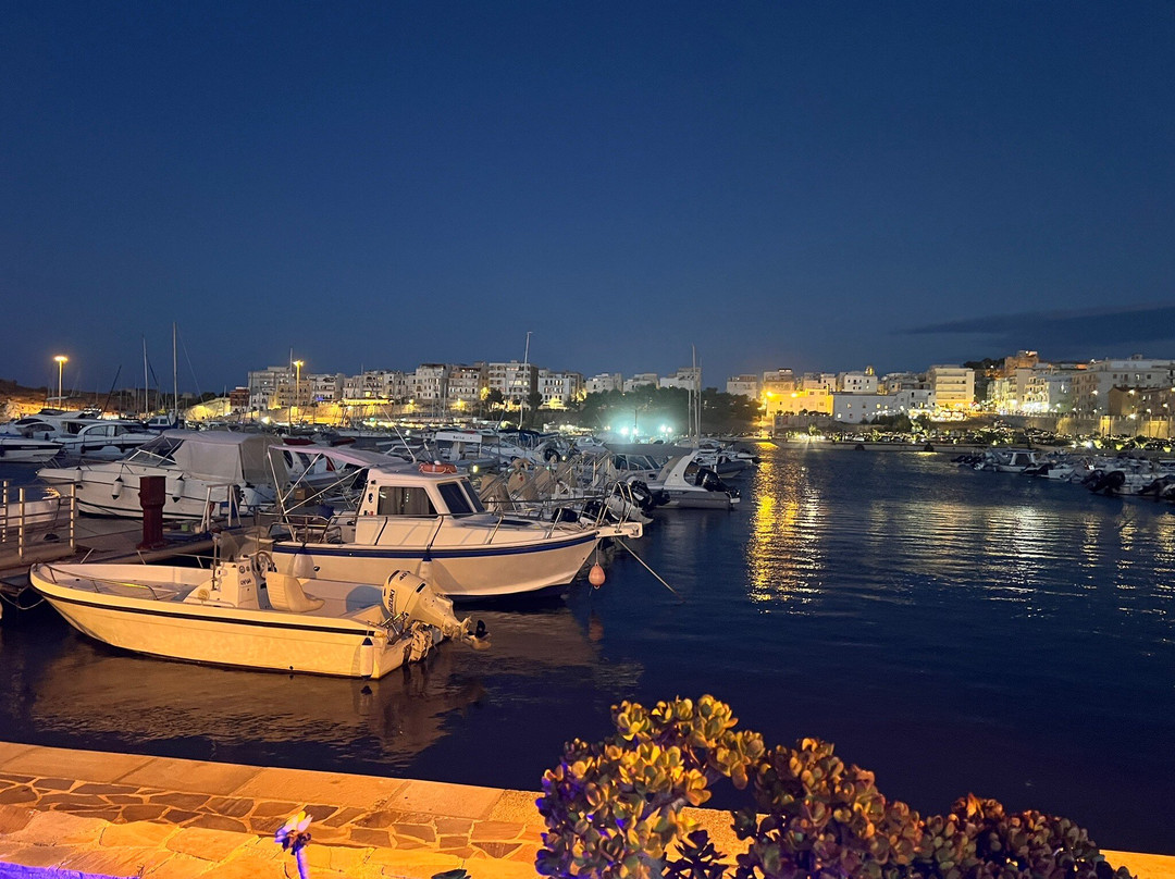 Paposceria Adriatica Sea View