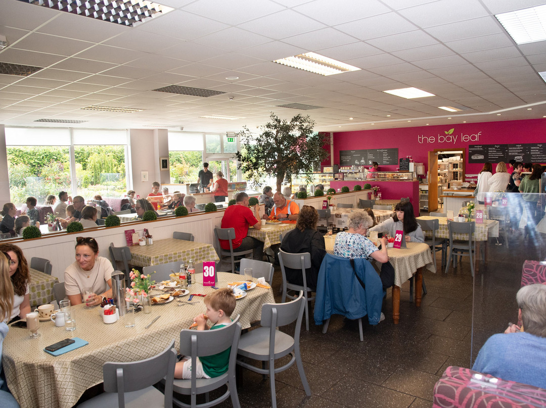 Horkan's Garden & Lifestyle Destination Centre-Castlebar必去景点