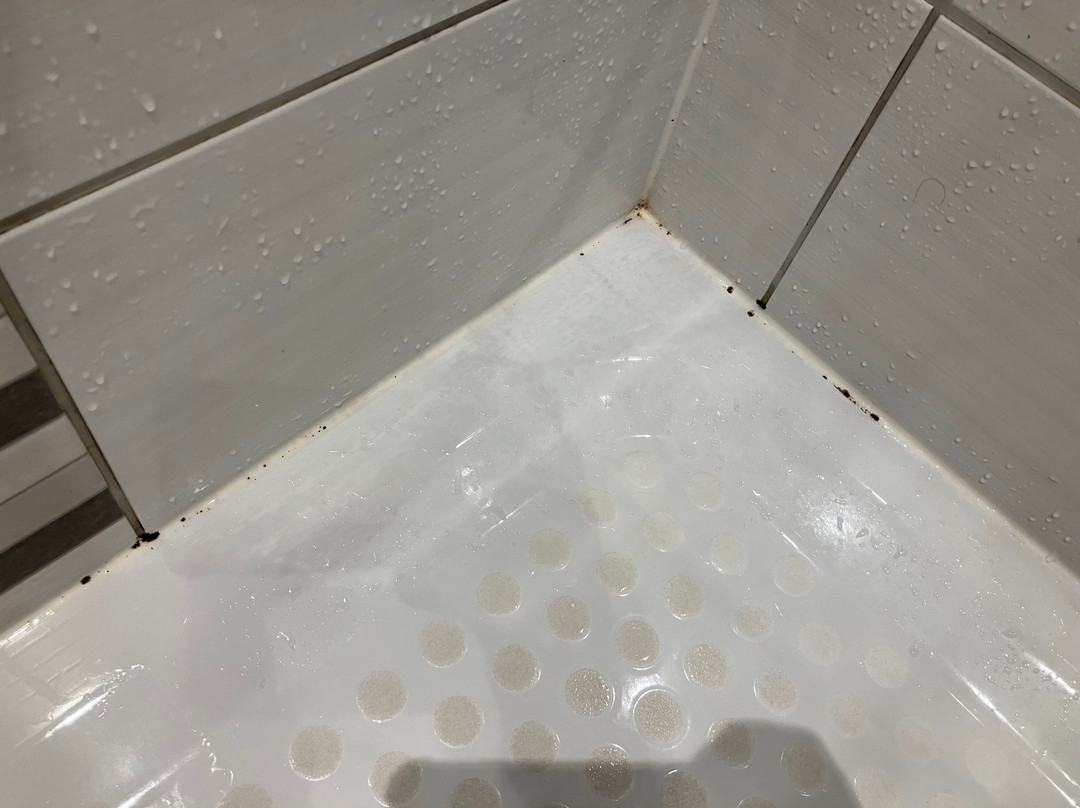 普瑞米尔哈利法克斯酒店主图