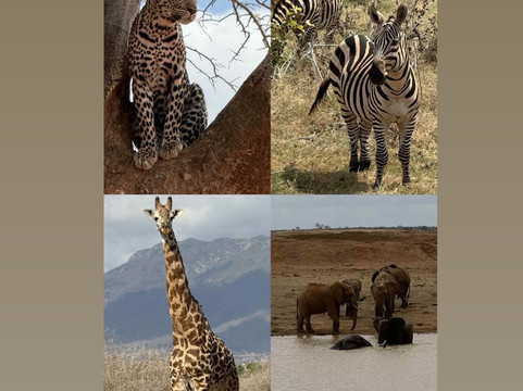 Bush Adventure - your safari partner-内罗毕必去景点