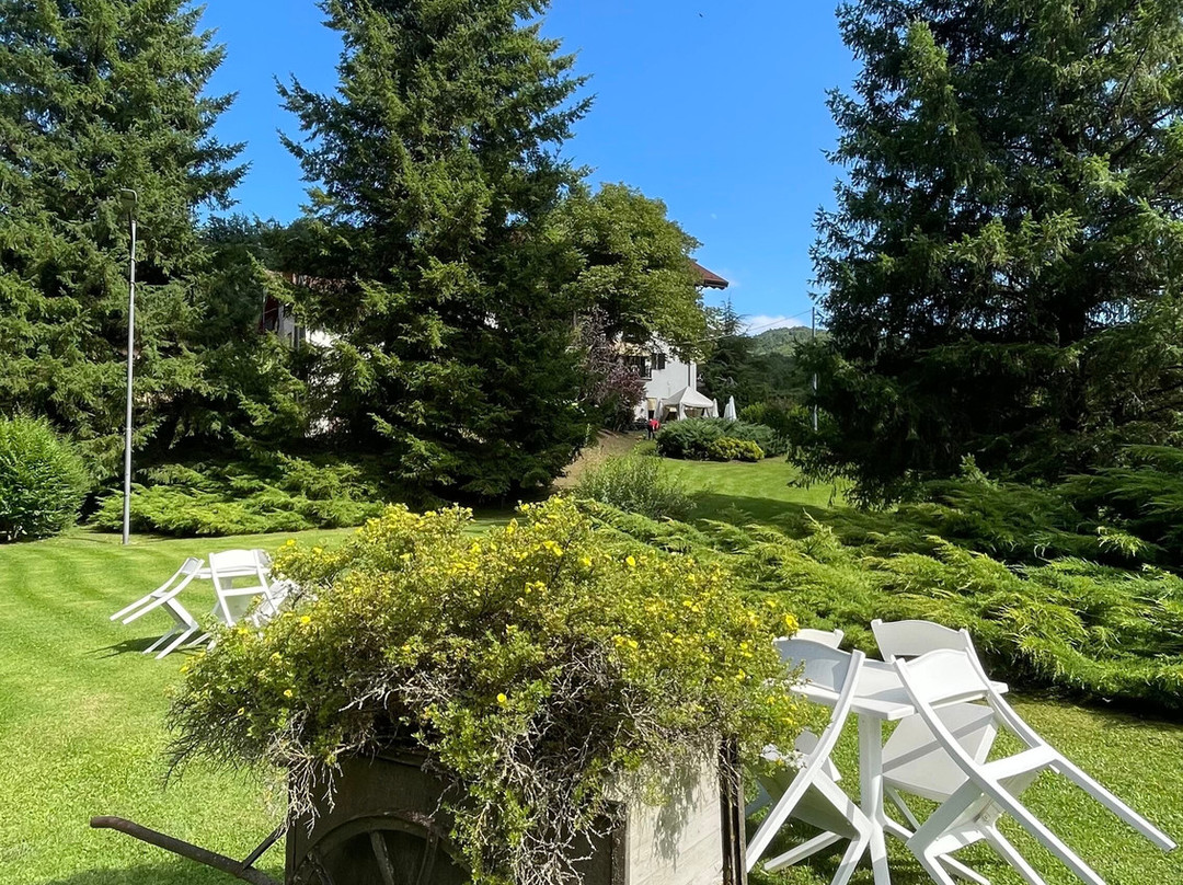 Hotel Due Ponti主图