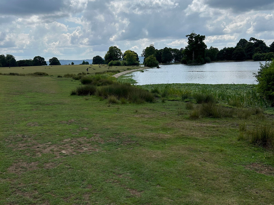 Petworth House and Park-佩特沃斯必去景点