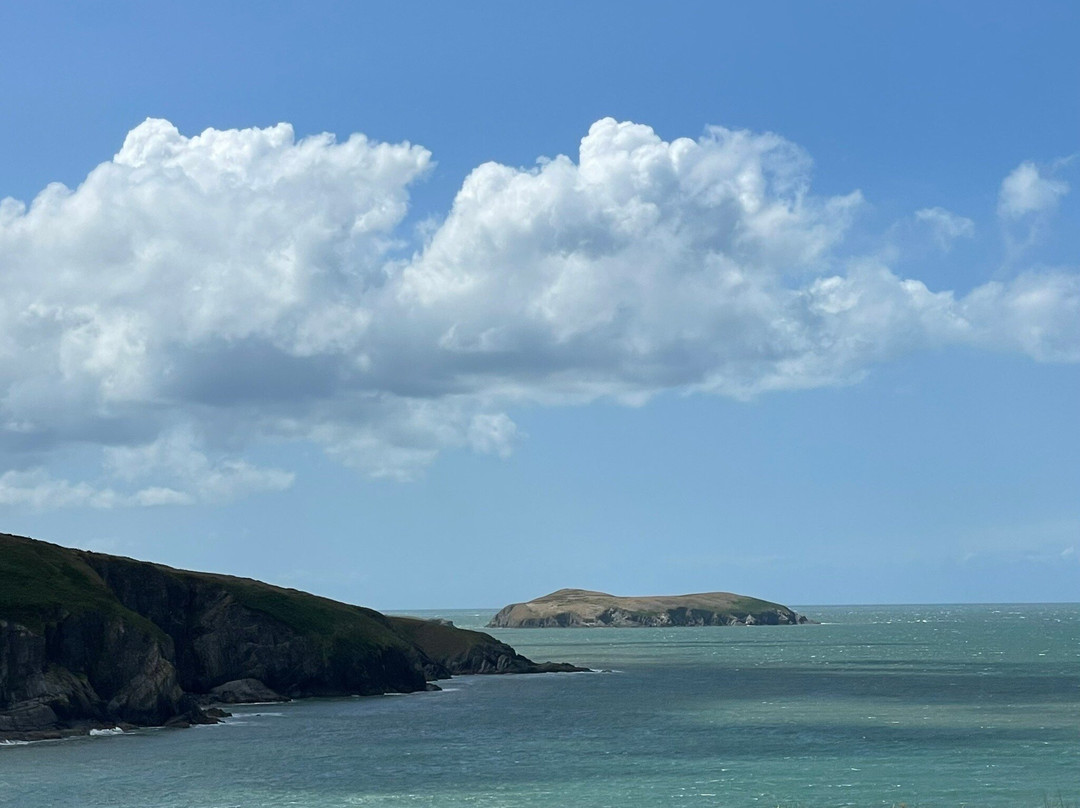 Nantgwynfaen Organic Farm主图