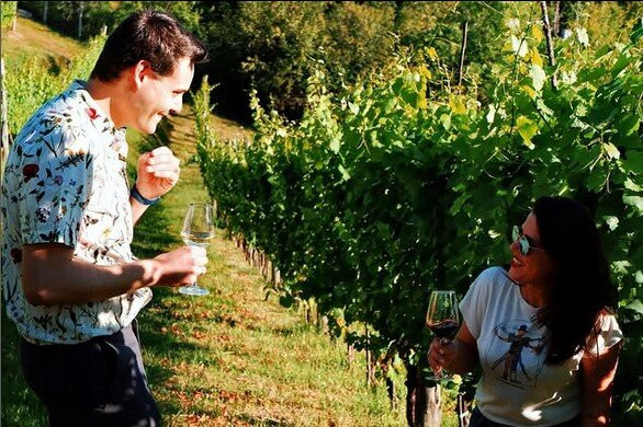 Le Macchie Winery-列蒂必去景点