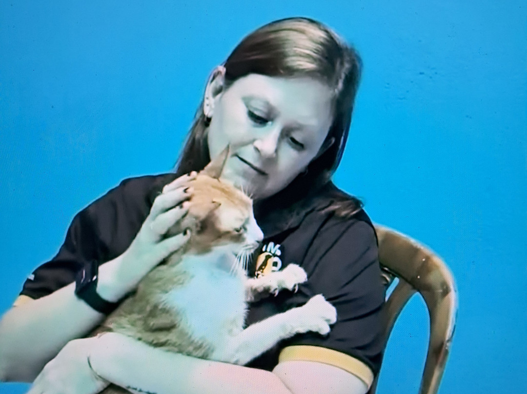 Animal SOS Sri Lanka-阿杭玛必去景点