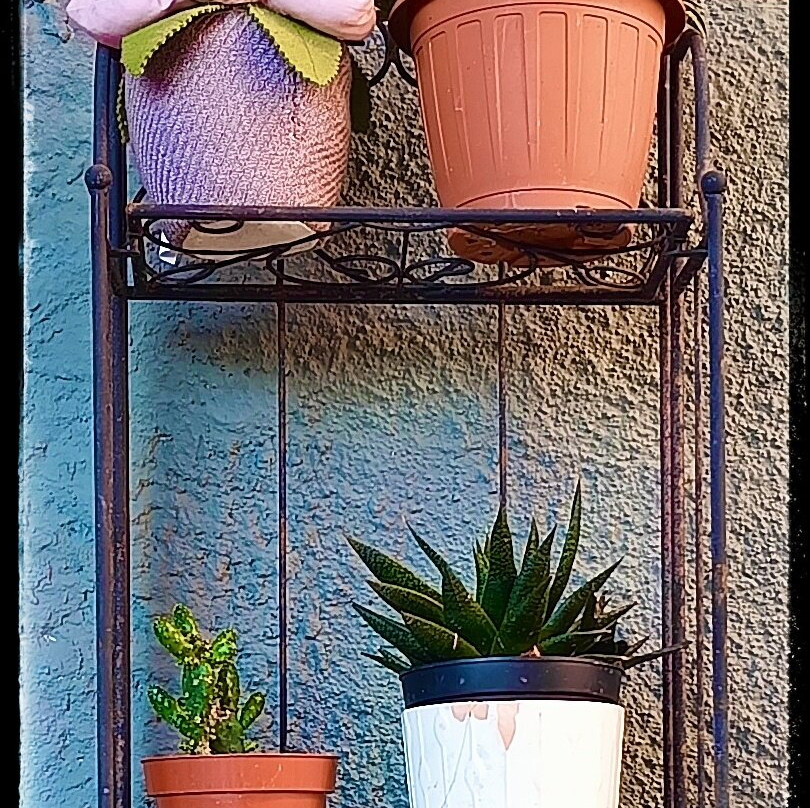 B&b Al Chiaro Di Luna主图