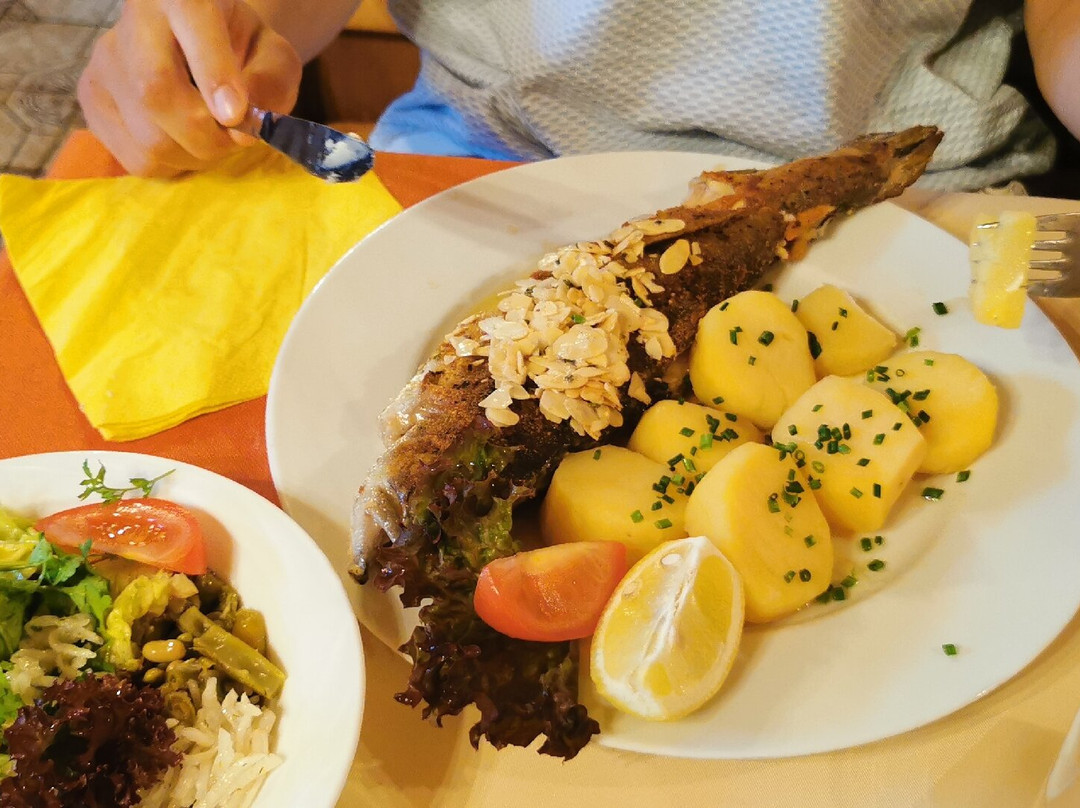 Pension Nina & Gasthof Alpenrose主图