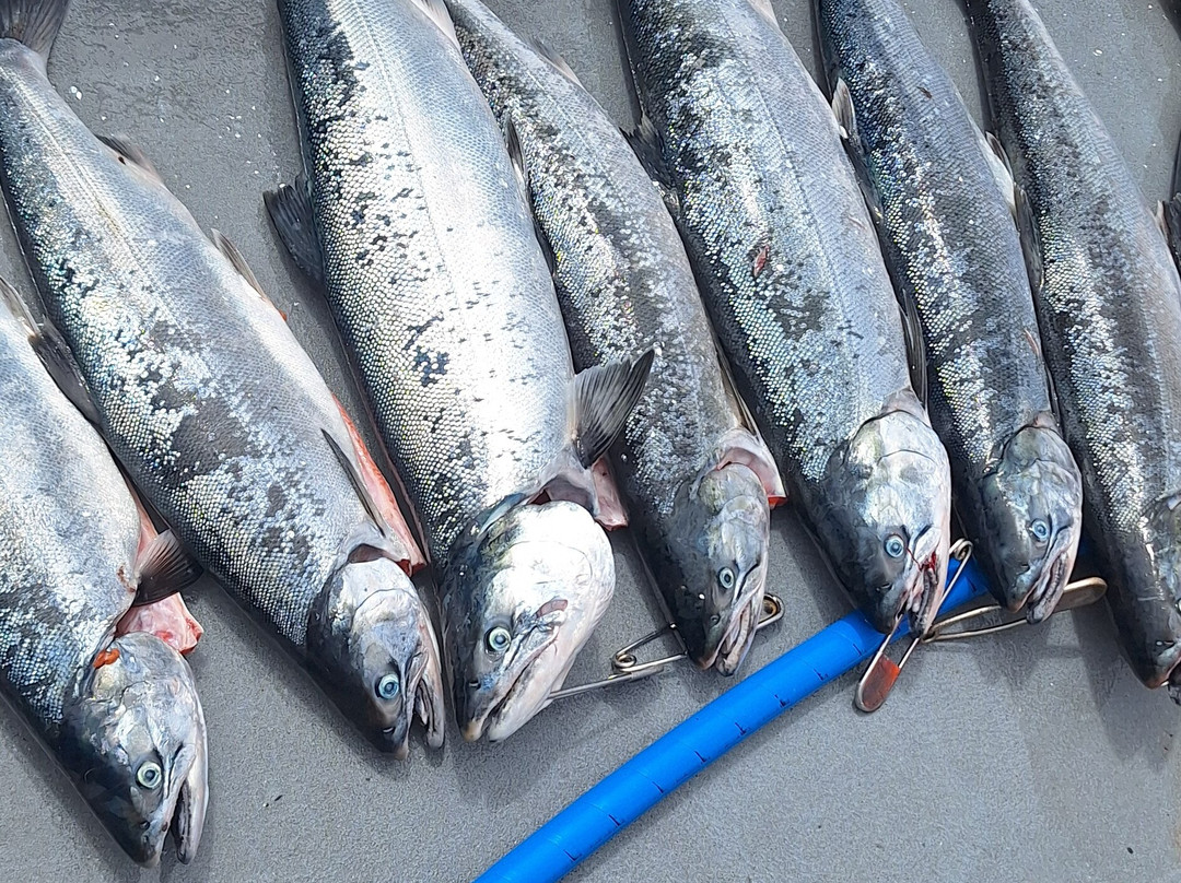 Tornado Fishing Charters-Westport必去景点