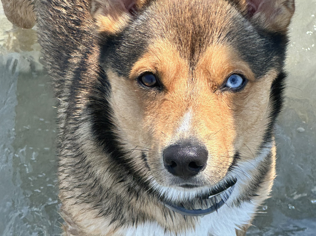 The Sand Box Motel主图