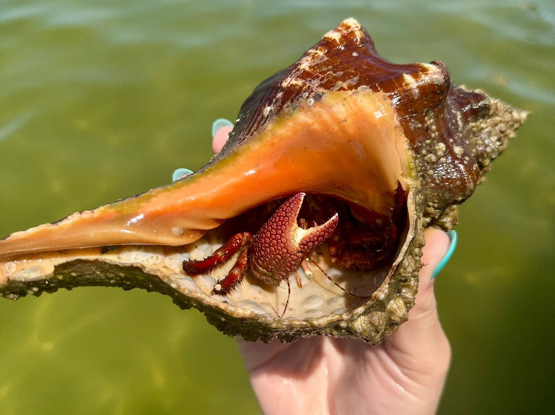 Boats And Fun-North Captiva Island必去景点