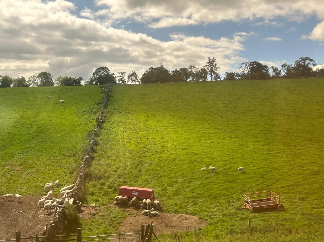 Midland Pullman-克鲁郡必去景点