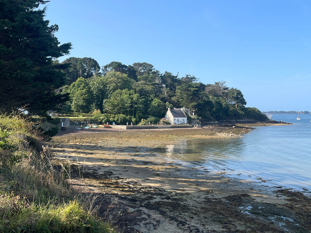 Randonnée Pédestre Sur L'ile Aux Moines-伊尔奥穆瓦内必去景点