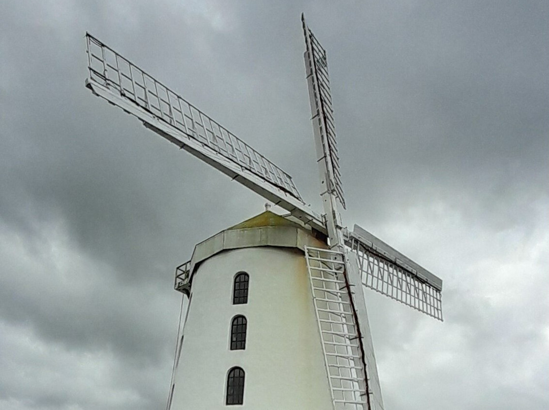Blennerville Windmill-特拉利必去景点