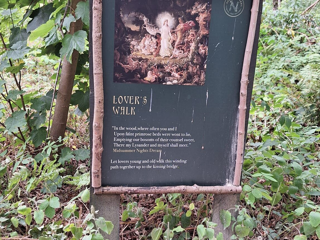 Northwood Trail – England’s Fairy Sanctuary-约克必去景点