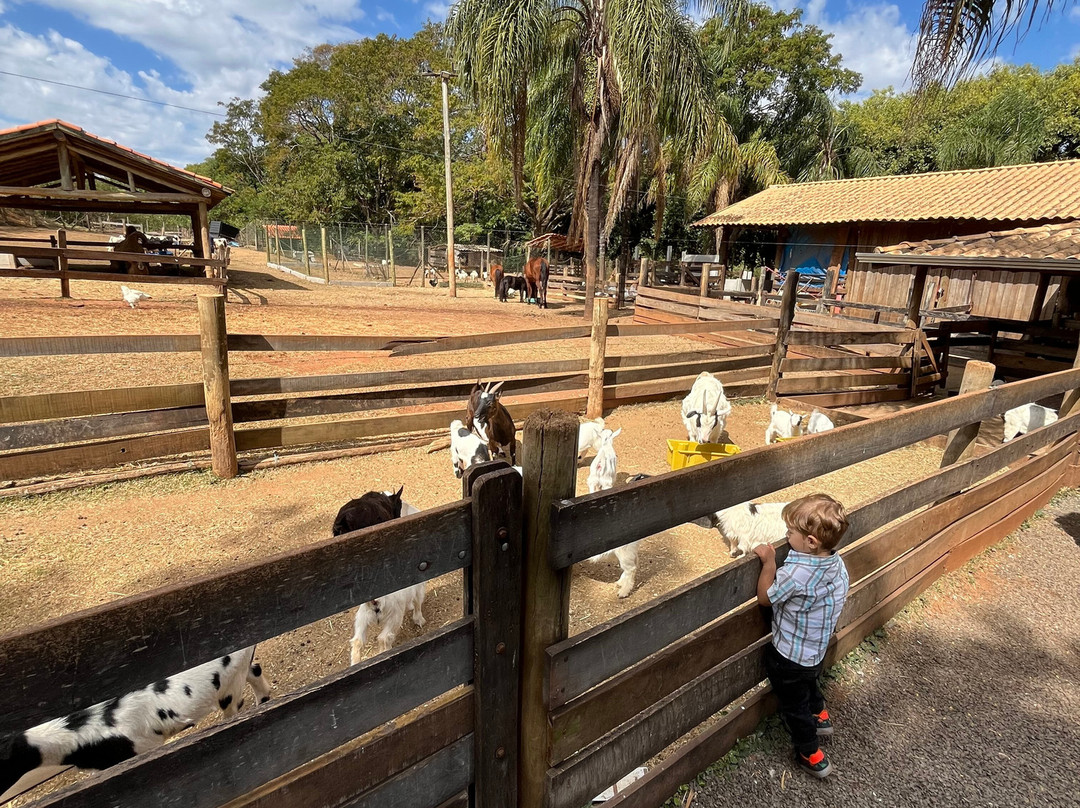 Fazendinha Zoomix-Franca必去景点