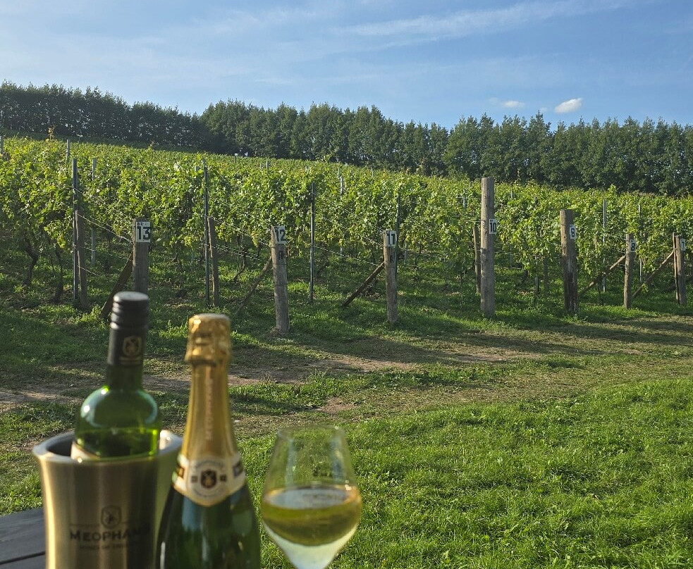 Meopham Valley Vineyard-Meopham必去景点