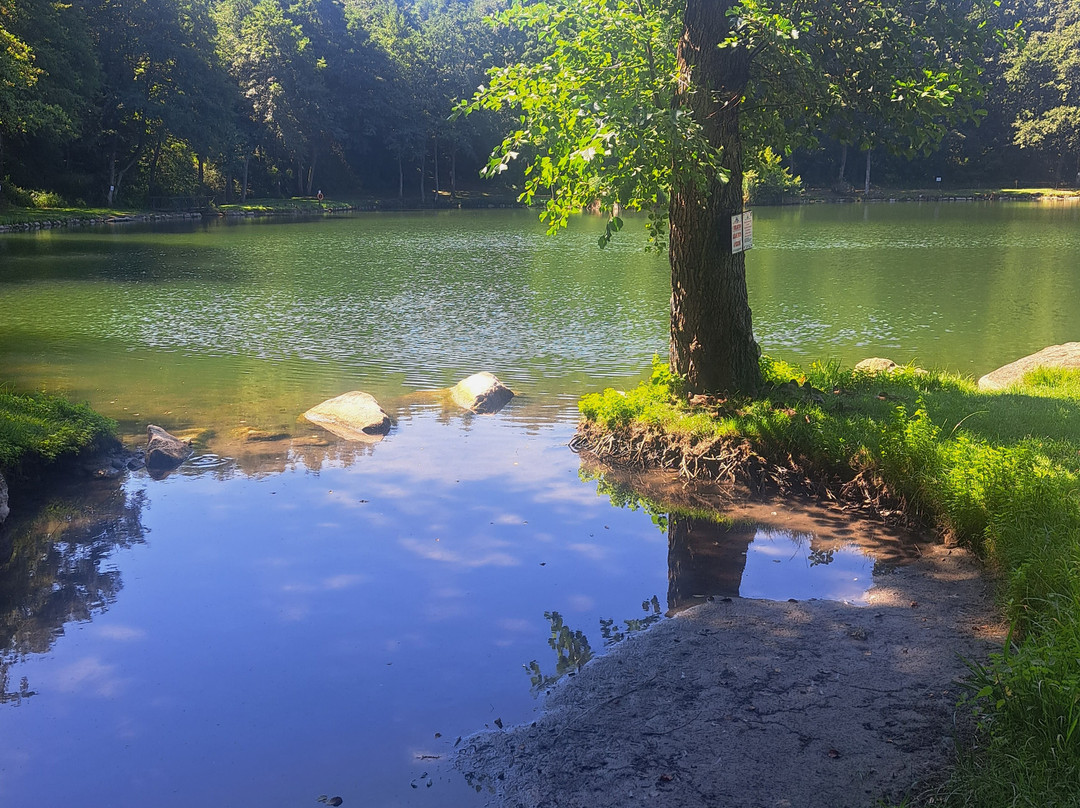 Lago Pontini-Bagno di Romagna必去景点