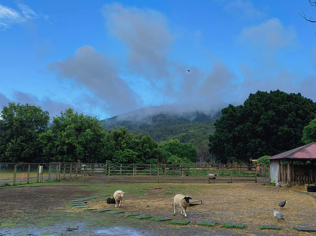 Historic Rivermill-黄金海岸必去景点