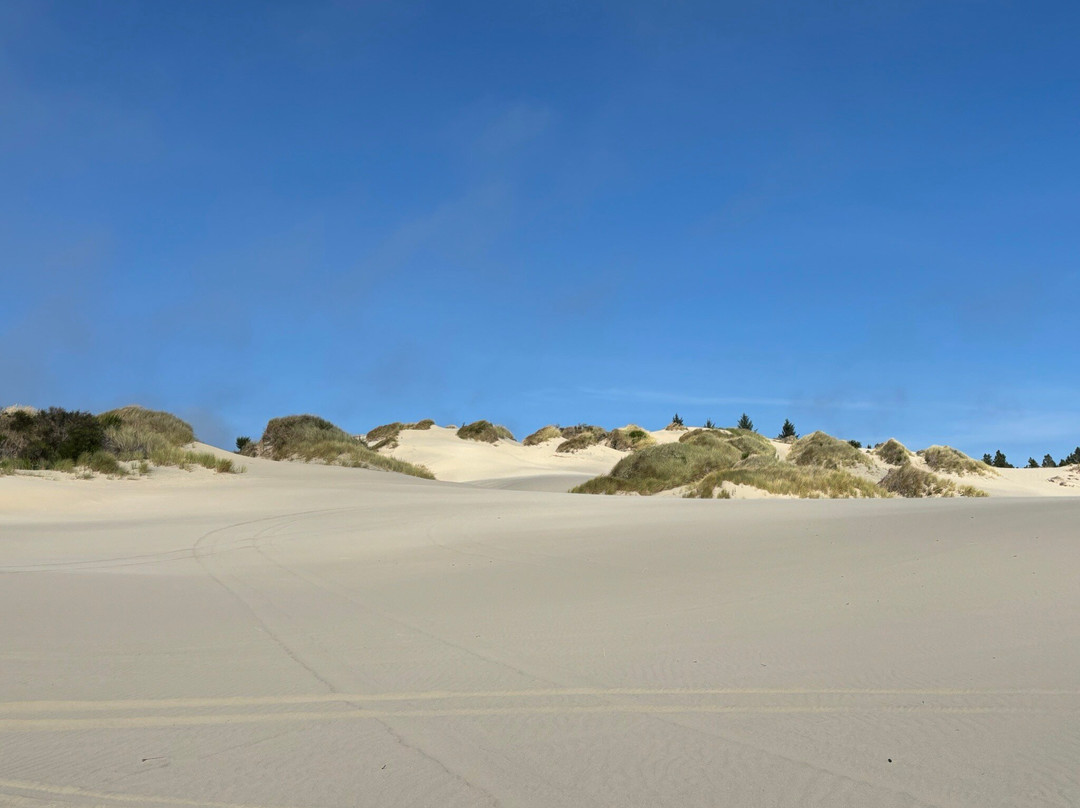 Torex ATV Rentals-弗洛伦斯必去景点