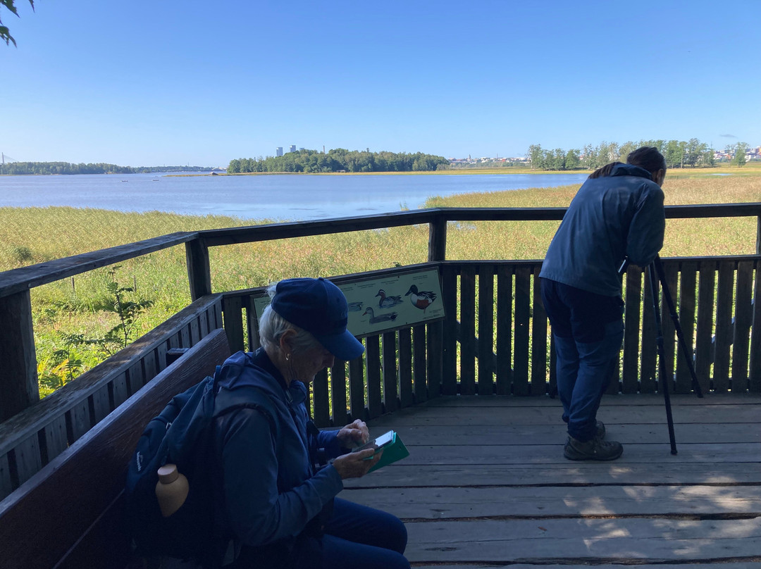 Birdwatching Helsinki-赫尔辛基必去景点
