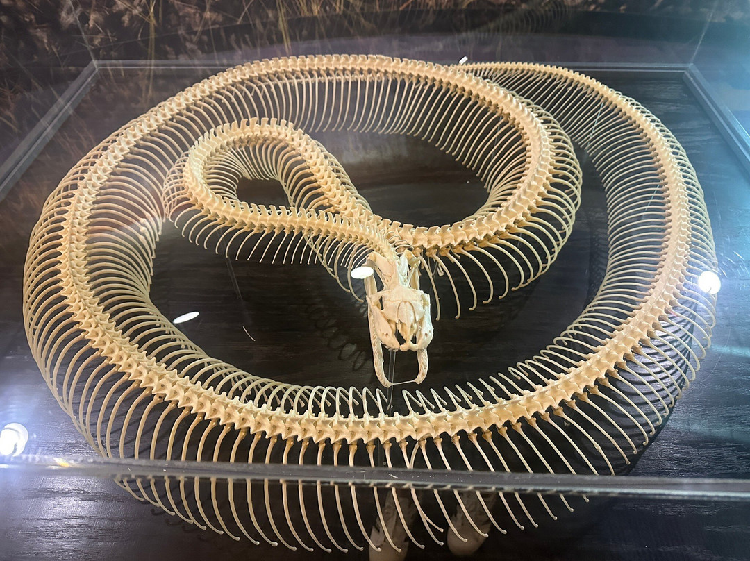 Ernest F. Coe Visitor Center-大沼泽国家公园必去景点