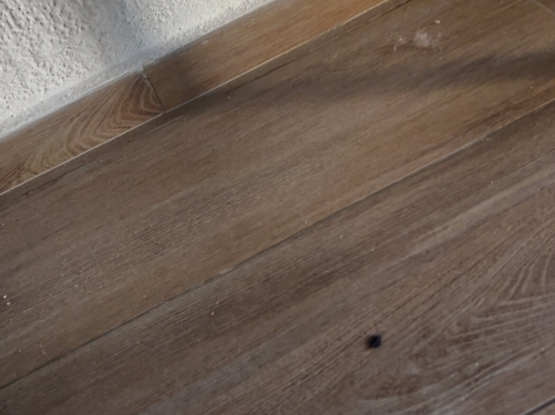 巴亚尔塔悦宜湾酒店主图