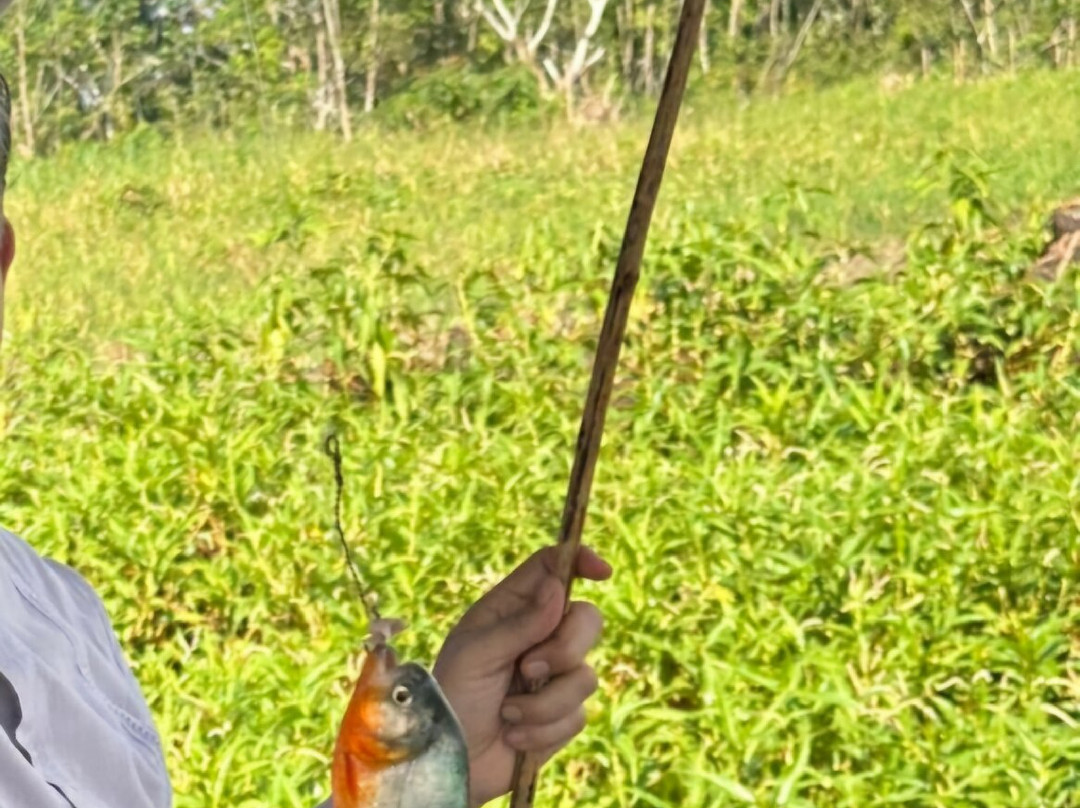 Amazon Golden Snake-伊基托斯必去景点