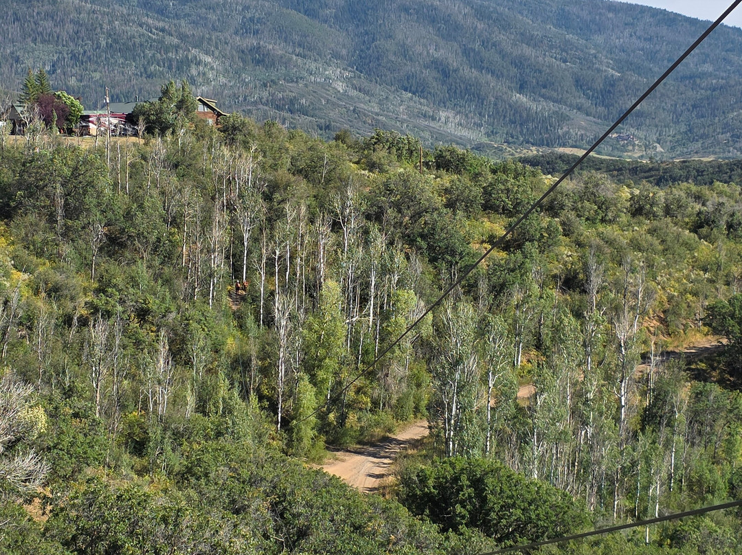 Steamboat Zipline Adventures-斯廷博特斯普林斯必去景点
