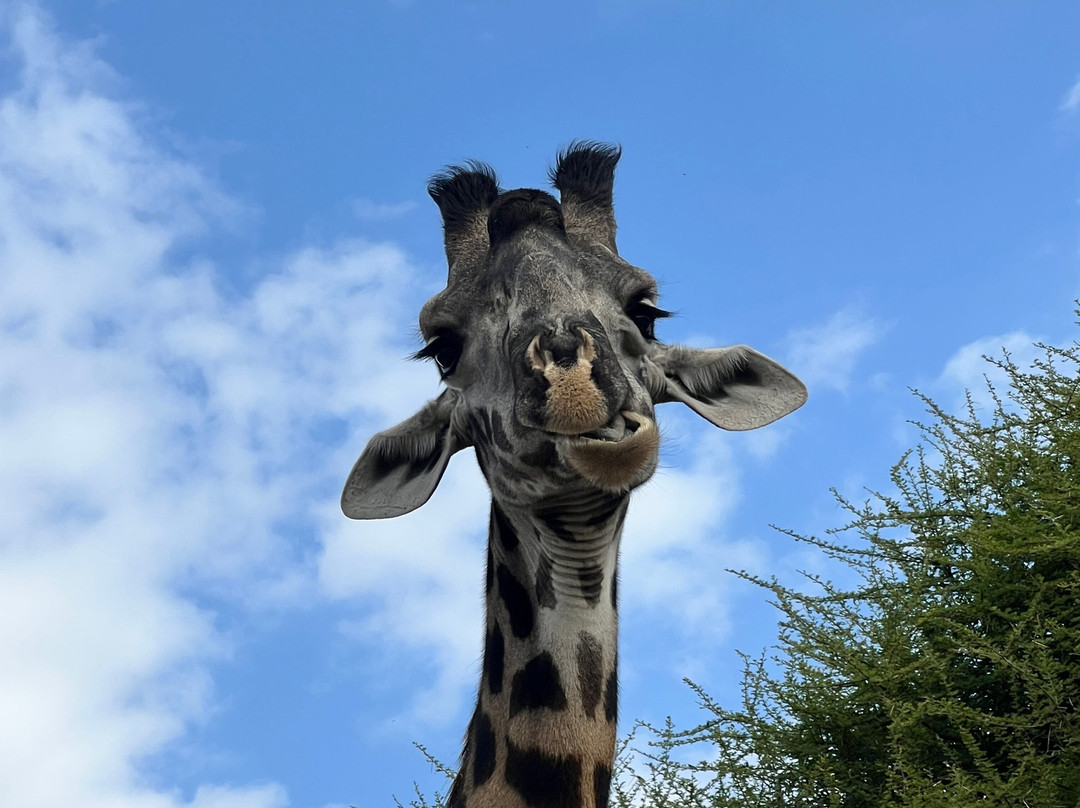 B2 Travel Group-纽约市必去景点