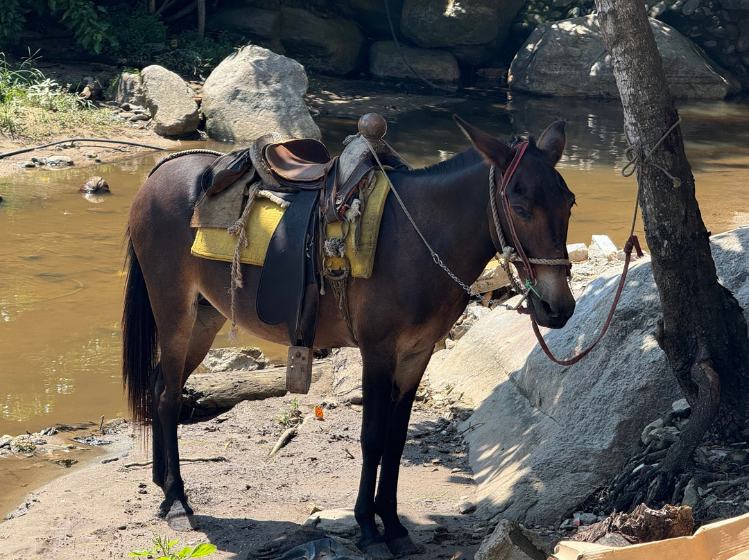 Chica Locca-利他必去景点