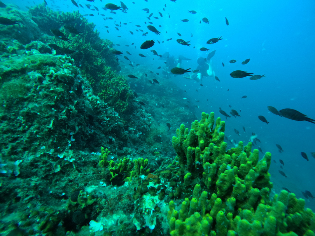 Argonauta Diving Resort-Rovies必去景点